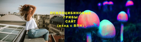 трава Аркадак