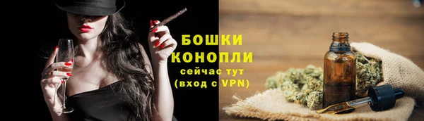 трава Аркадак