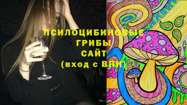 экстази Арсеньев