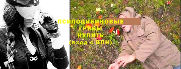 трава Аркадак