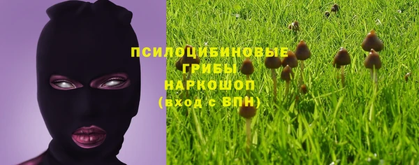 трава Аркадак