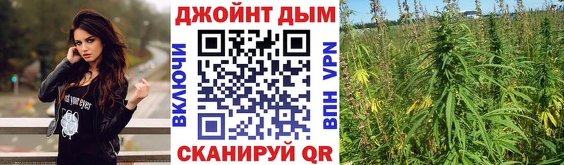 Бошки марихуана OG Kush Хвалынск